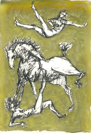 sketch