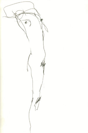 Sketch